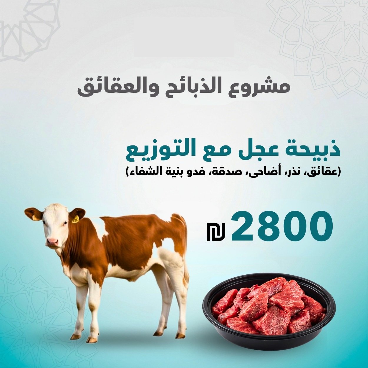 ذبيحة عجل