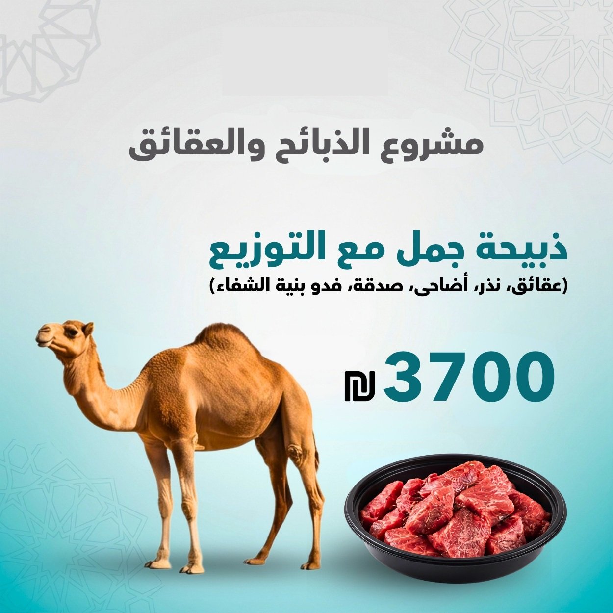 ذبيحة جمل