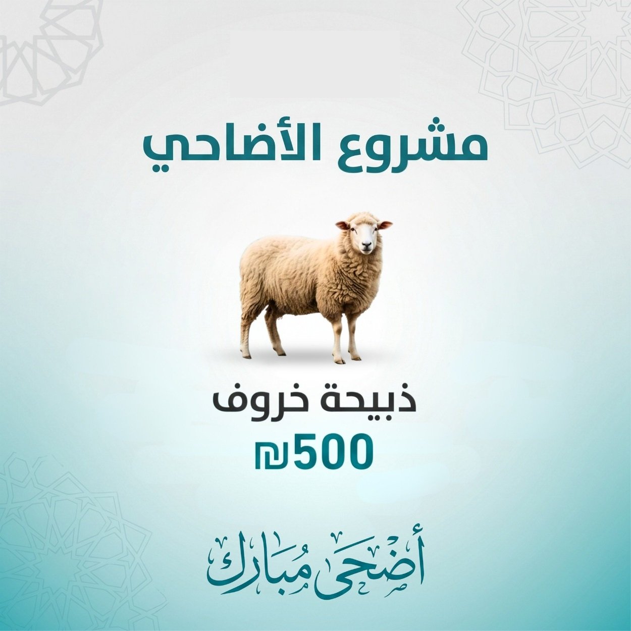 ذبيحة خروف