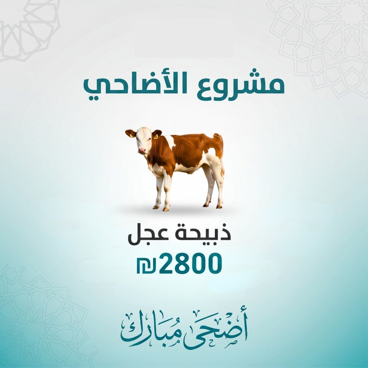 ذبيحة عجل